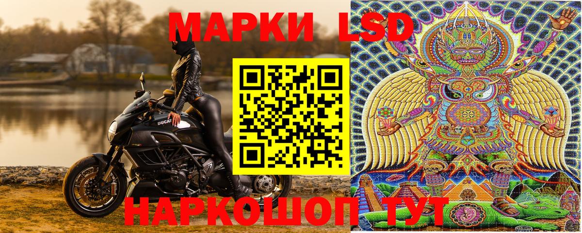 Марки NBOMe  Златоуст  купить закладку  Марки NBOMe 1,8мг 