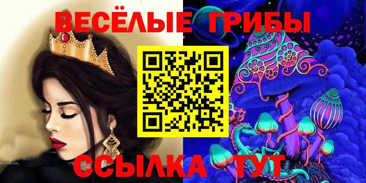 Златоуст  Галлюциногенные грибы Cubensis  Вход с VPN 