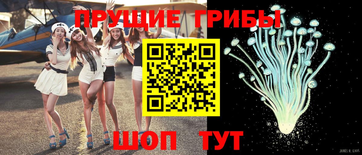 Псилоцибиновые грибы MAGIC MUSHROOMS Златоуст