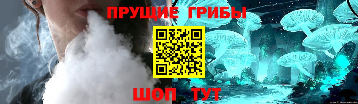 закладки  Златоуст  Псилоцибиновые грибы мицелий  Псилоцибиновые грибы ЛСД 